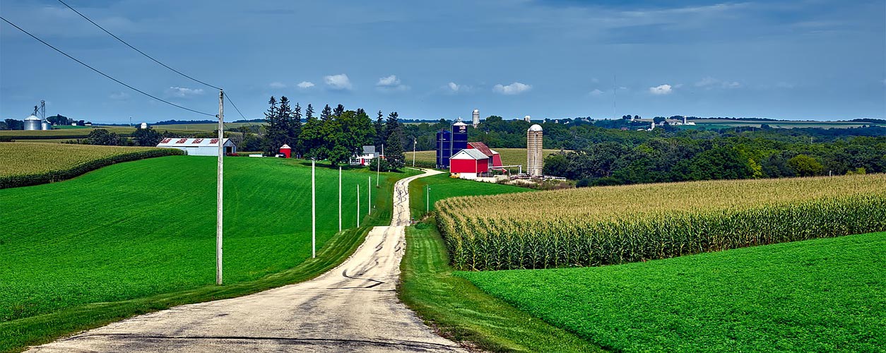 Wisconsin farm road