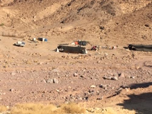 Bedouin tents