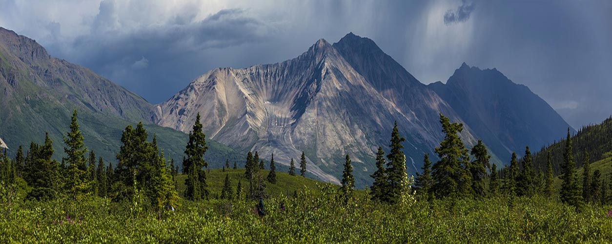 mountain landscape