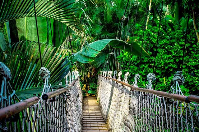 suspension bridge