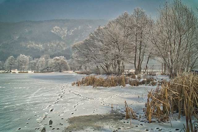 Winter scene