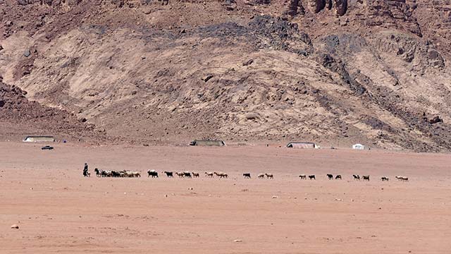 wadirum